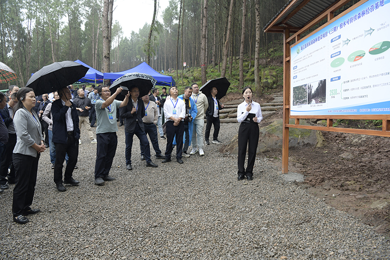 全省國家儲備林建設工作現場(chǎng)推進(jìn)會(huì )參觀(guān)通江縣兩山公司項目